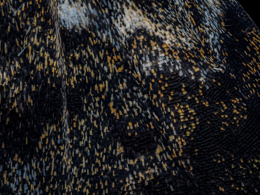 Ajoutez du style à vos parkings avec du bitume coloré