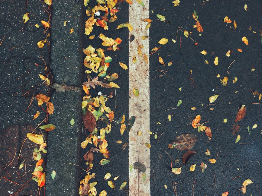 Services de Revêtement d'Asphalte de Parking à Ankara : Faites la Différence avec des Options Colorées