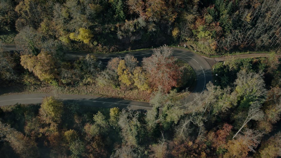 Plongée dans les Profondeurs des Prix de l'Asphalte : Qui Construira les Routes ?