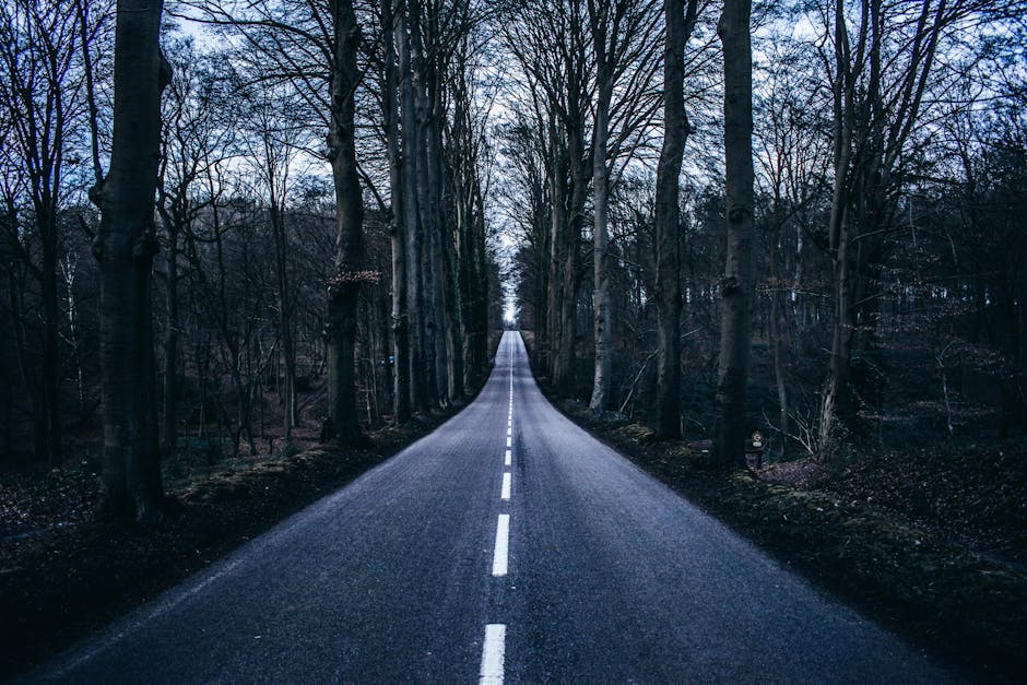 Nouvelles méthodes et opportunités dans les applications d'asphalte 2026