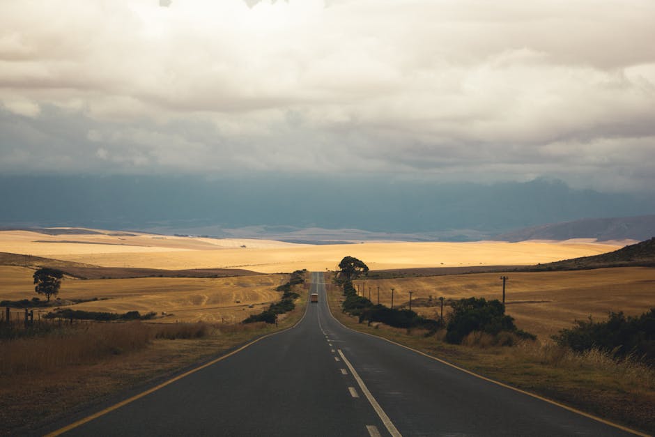 Entreprises d'Asphalte Spécialisées : Les Experts qui Bâtissent l'Avenir des Routes