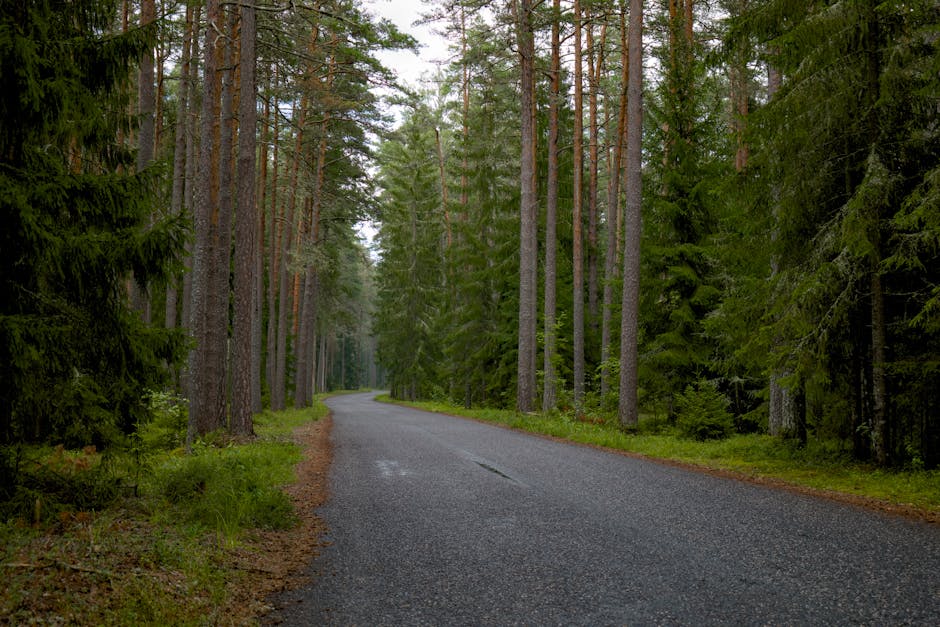 Routes Urbaines : Qui est Responsable et Quels Sont les Coûts ?
